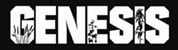Genesis Logo image